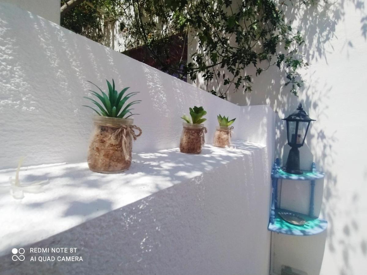 Ferienwohnung El Patio El Campello Exterior foto